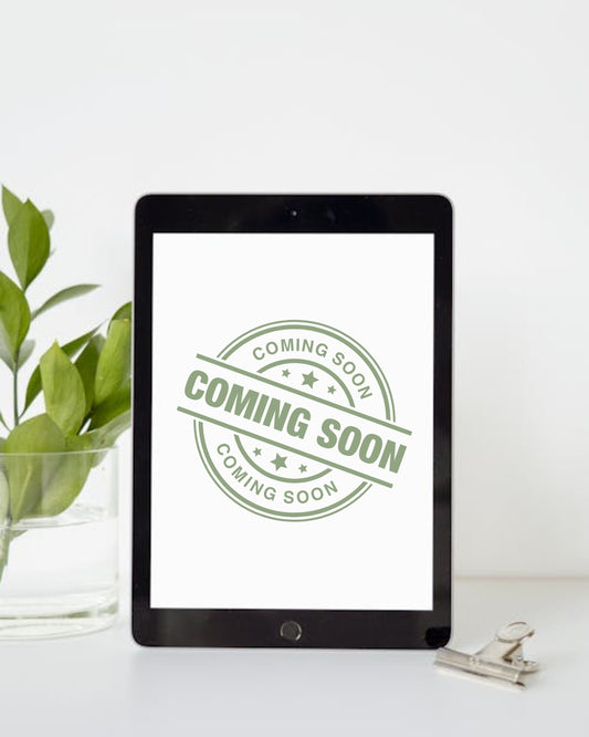 Money Mindset Digital Journal